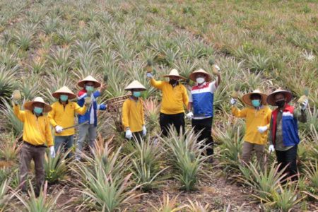 PT Kilang Pertamina Internasional Raih 4 Penghargaan Indonesia SDGs Award
