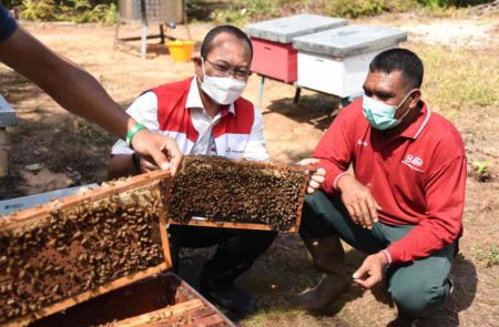 Buah Manis, Budidaya Lebah Madu Ramah Lingkungan