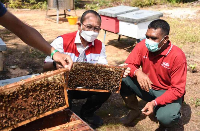 Buah Manis, Budidaya Lebah Madu Ramah Lingkungan