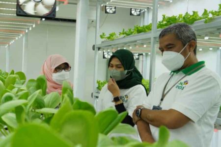 PLN Dukung Program Container Farming Pertama di Ibu Kota