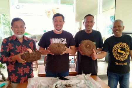 Saat Profesor Farmasi Unair bertemu dengan Petani Porang Wonosalam