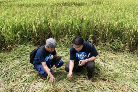 Berawal dari Melihat Benda Asing, Kini Siapkan Investigasi Keberadaan UFO