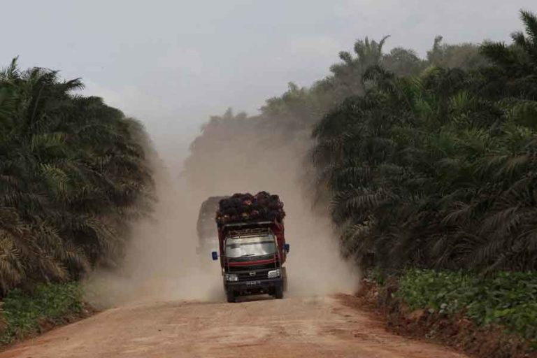 GAPKI Siap Gelar ’17th Indonesian Palm Oil Conference and 2022 Price Outlook’