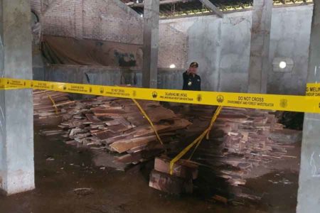 Pemodal Kayu Sonokeling Ilegal di Lampung Siap disidangkan