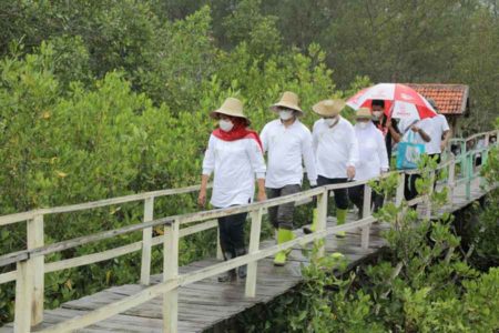 Tahan Dampak Perubahan Iklim, Jawa Timur Kejar 34 Ribu Hektare Restorasi Mangrove