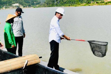 Langkah Jokowi Meminta Menaker Merevisi Aturan Baru JHT Adalah Blunder Politik