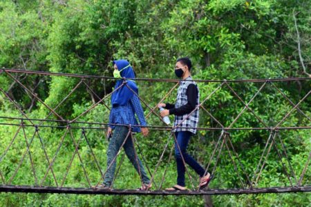 Sejauh Mata Menghampar di Hutan Mangrove Gunung Anyar