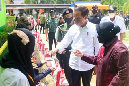 Rehabilitasi Kerusakan Hutan, Presiden Tanam Pohon di Area Bekas Tambang