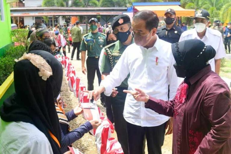 Rehabilitasi Kerusakan Hutan, Presiden Tanam Pohon di Area Bekas Tambang