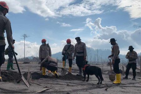 Hari Kelima Paska Erupsi Semeru, Tim Gabungan Temukan 43 Korban Meninggal