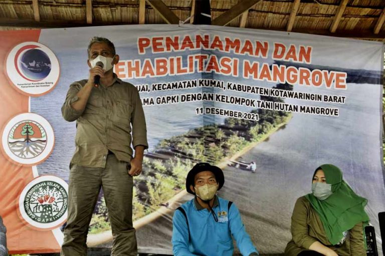 Rangkul Kelompok Tani Hutan, GAPKI Rehabilitasi Kawasan Mangrove Sabuai