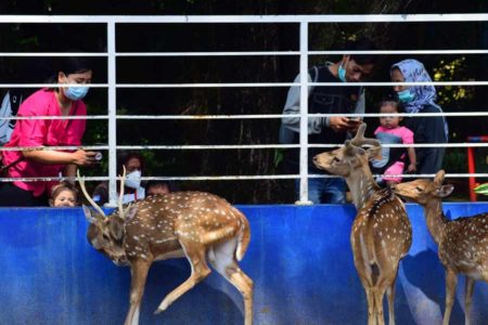 Cegah Sebaran Covid-19, Delapan Taman Kota di Surabaya kembali Ditutup