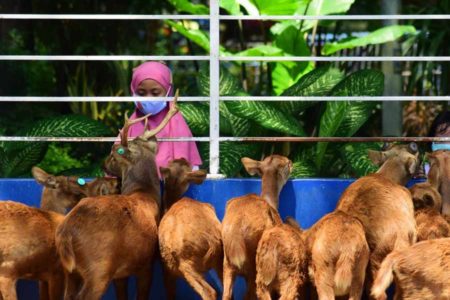 Taman Flora Surabaya, Paru-paru Kota yang Selalu Mengundang Rindu
