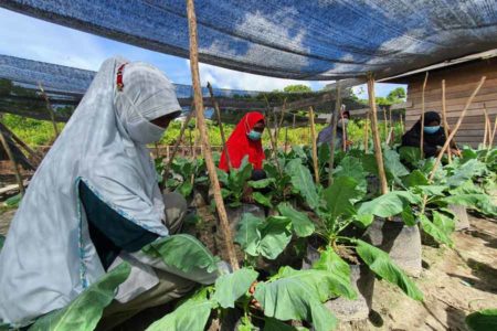 Peringati Hari Menanam Pohon Nasional, SKK Migas dan JOB Simenggaris Tanam 1.100 Bibit Tanaman Buah di Tana Lia