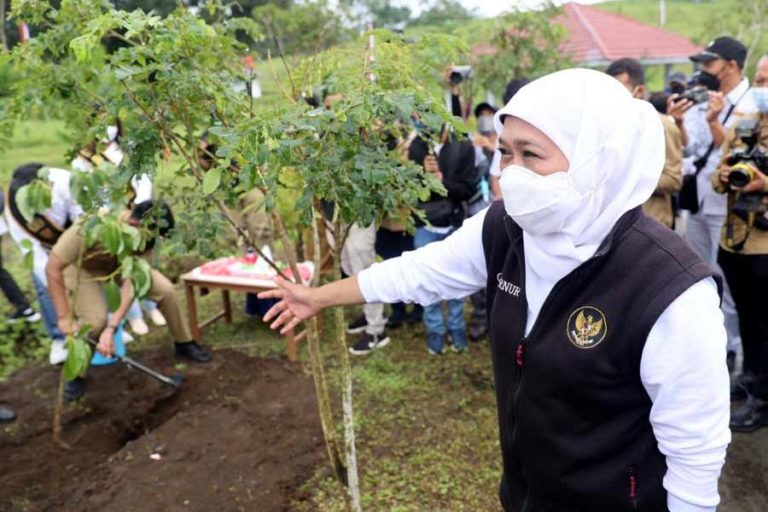Gubernur Khofifah Tanam 4000 Bibit Tanaman di Njulung Argo Edu Tourism Malang