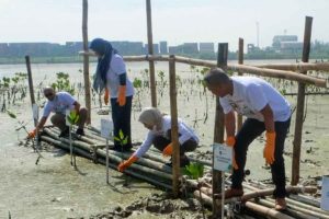 Pelindo Marines Galang Kolaborasi untuk Bakau Romokalisari