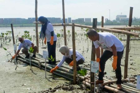 Pelindo Marines Galang Kolaborasi untuk Bakau Romokalisari
