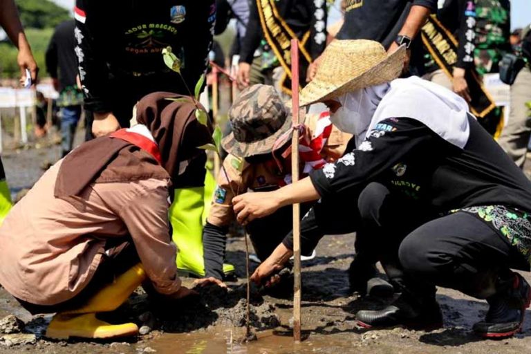 Tahun 2021, Penanaman Mangrove Capai 881.508 Batang pada Lahan 295,62 Hektar