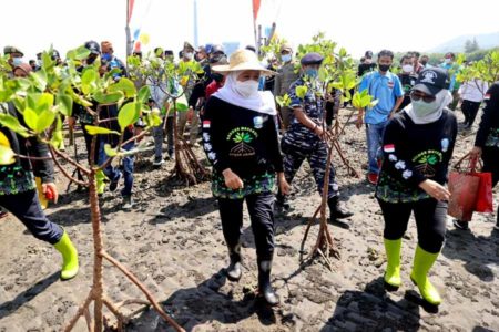 Gubernur Khofifah Serahkan Hibah Alat Ekonomi Produktif pada KTH