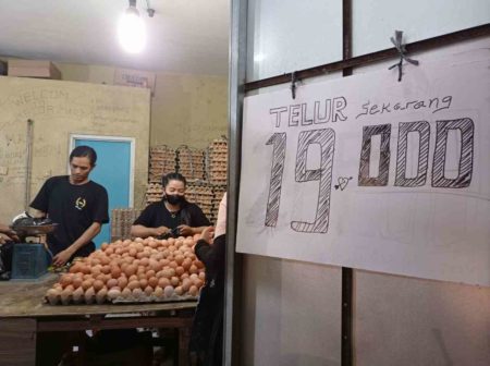Sempat Melangit, Harga Telur di Tangerang kembali Stabil