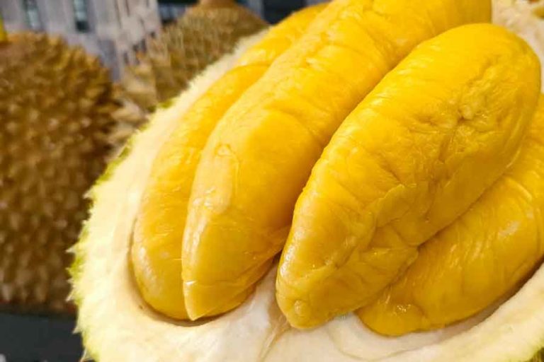 Bisnis Durian Premium, Grebek Duren bisa Pasarkan 5 ton per Bulan