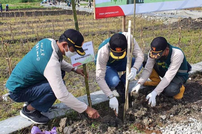 Rawat Kelestarian Lingkungan, PEPC Zona 12 Tanam Ribuan Bibit Pohon