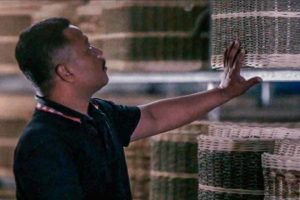 Bisnis Peti Mati Sukoharjo, Ekspor Ratusan tiap Bulan Omsetnya Miliaran