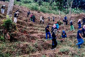 Jaga Kelestarian Hutan, Dinas Kehutanan Mojokerto Tanam 46,5 Ribu Pohon dan Buah