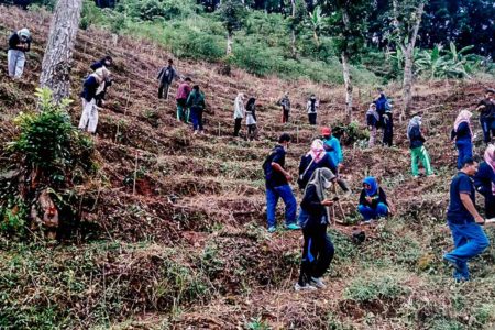 Jaga Kelestarian Hutan, Dinas Kehutanan Mojokerto Tanam 46,5 Ribu Pohon dan Buah