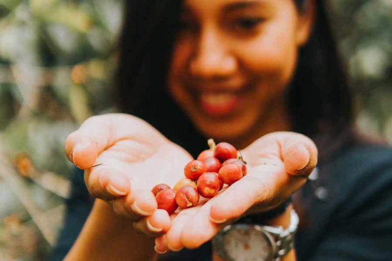 Mesir Sangat Cinta Kopi dari Indonesia, Ini Buktinya
