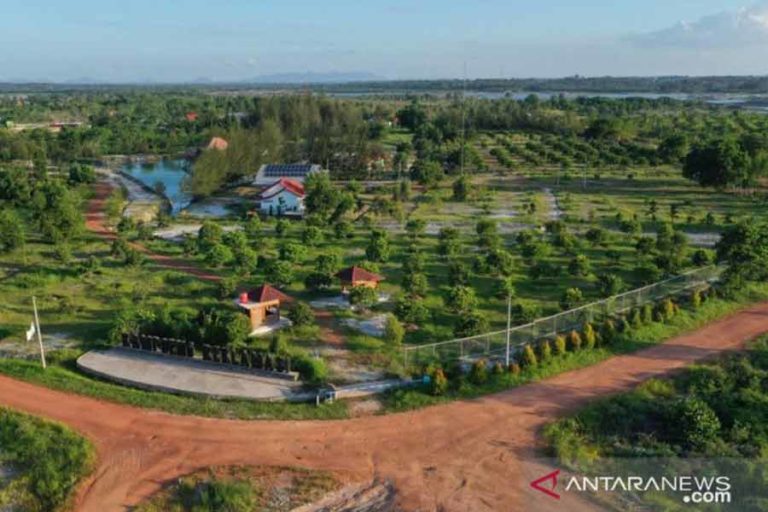 Tahun 2021, Realisasi Lahan Reklamasi Capai 8.539 Hektare