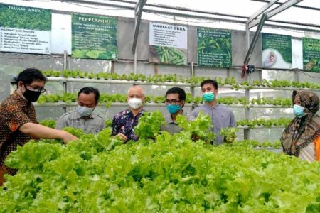 Bantu Warga, Mahasiswa UK Petra Rancang Urban Farming Berbasis IoT