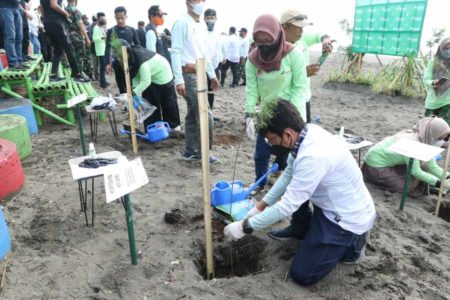 Antisipasi Abrasi dan Tsunami, Kilang Pertamina Internasional Unit Cilacap Tanam 3.000 Pohon Cemara Laut di Pesisir Selatan