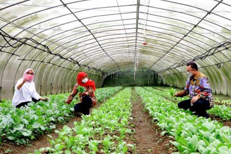 Rektor IPB Harap MoU dengan Pemprov Jatim Ditindaklanjuti Agar Manfaatnya Dirasakan Masyarakat