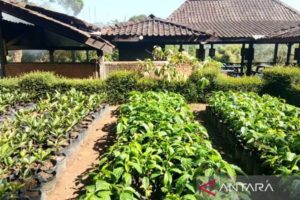 Jadi Desa Cinta Statistik, Batumarta 1 dapat Bantuan Program GSMP