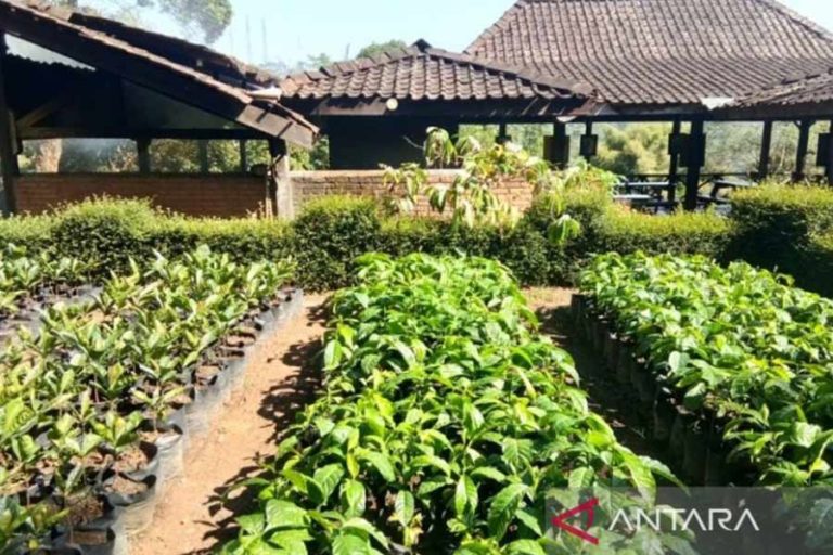Jadi Desa Cinta Statistik, Batumarta 1 dapat Bantuan Program GSMP