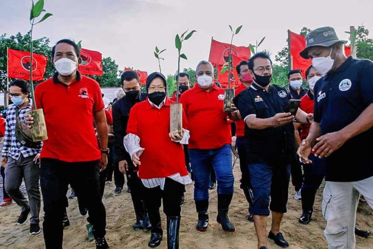 Tanam Mangrove di Bali Saat HUT Megawati, Risma: Keberlangsungan Kehidupan Manusia Terjaga