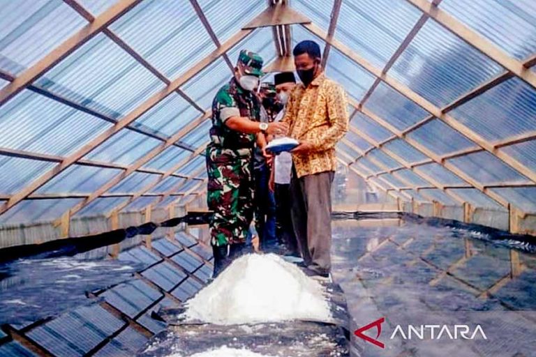 Terbentur Izin, Garam Simeulue belum Bisa Dijual di Pasar Nasional