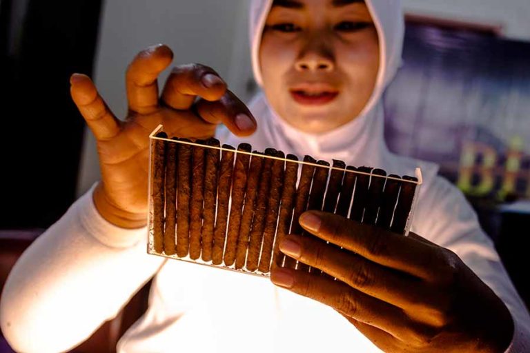 (foto : Fully Syafi, pilar.id)
