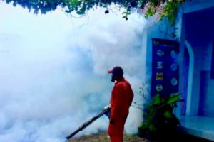 Terjadi 49 Kasus DBD Sepanjang Januari Hingga Februari, Dinkes Kediri Segera Lakukan Fogging