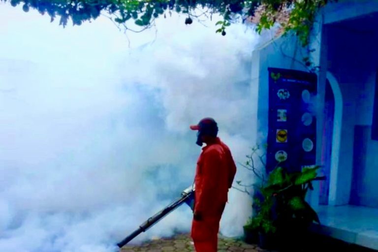 Terjadi 49 Kasus DBD Sepanjang Januari Hingga Februari, Dinkes Kediri Segera Lakukan Fogging