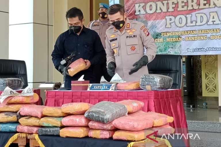 Pemilik Ladang Ganja Seluas 2 Hektar di Taman Nasional Gunung Leuser Diancam Hukuman Mati