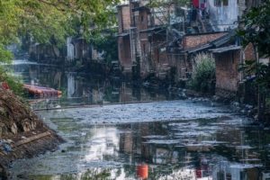 Pencemaran Sungai Cikaniki dan Citongtut Sebabkan Ribuan Ikan Mati