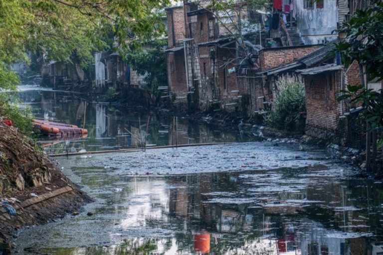 Pencemaran Sungai Cikaniki dan Citongtut Sebabkan Ribuan Ikan Mati