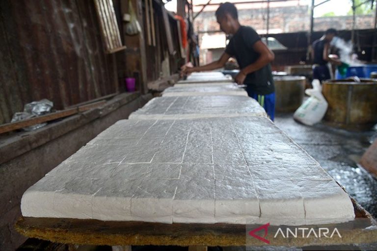 Harga Kedelai Melambung Tinggi, Pengusaha Tahu di Aceh Berhenti Operasi