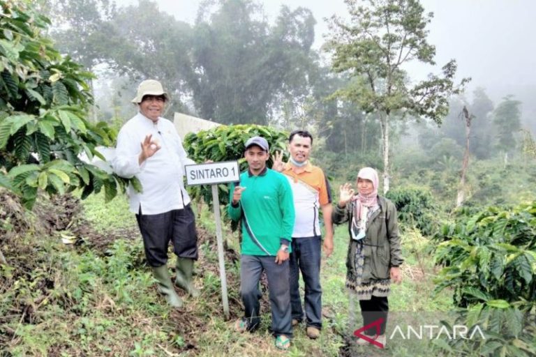 Terhenti 4 tahun, Balai Benih Perkebunan dan Kentang Di Rejang Lebong Diaktifkan Kembali