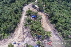 Indonesia Bersama Kanada Jalankan Program Kerjasama Untuk Perbaiki Tata Kelola Lahan di Hutan Sumatera Selatan