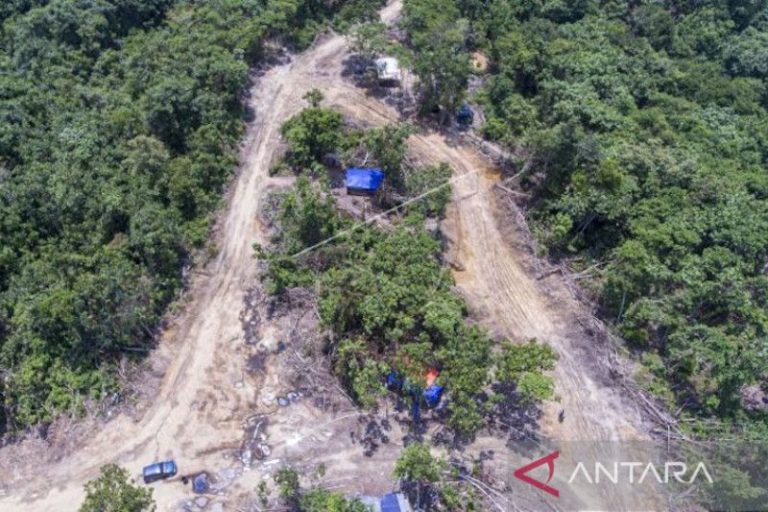 Indonesia Bersama Kanada Jalankan Program Kerjasama Untuk Perbaiki Tata Kelola Lahan di Hutan Sumatera Selatan