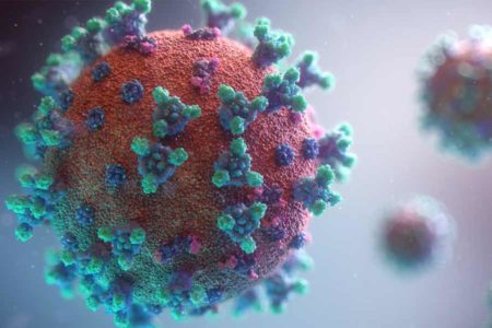 Virus Dapat Berkembang Biak dan Memiliki Naluri Bertahan Hidup Termasuk Covid-19