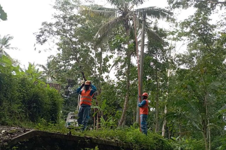 Listrik Padam di Desa Wadas, PLN: Tak Ada Unsur Kesengajaan